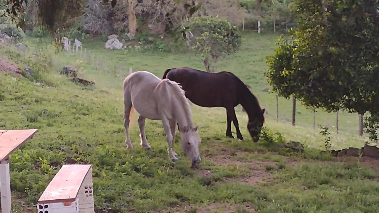 Casa & Chale Em Morro Redondo Rs Villa ภายนอก รูปภาพ
